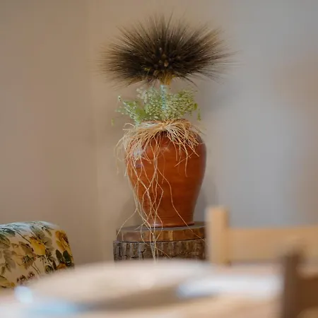 L'oliveto Lägenhet