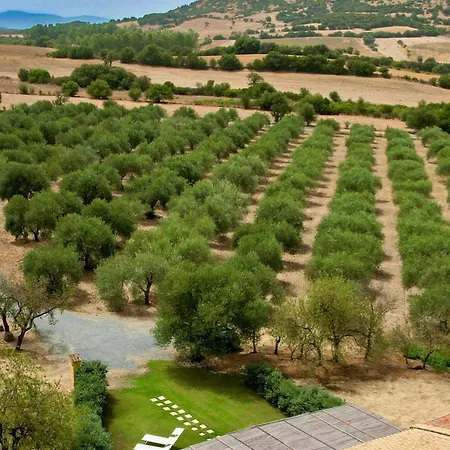 L'oliveto Nuxis
