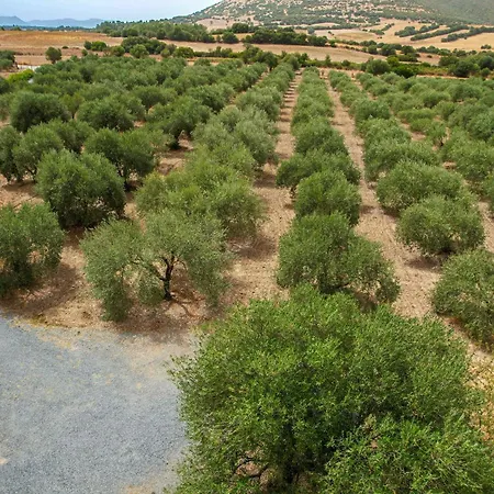 아파트 L'oliveto Nuxis